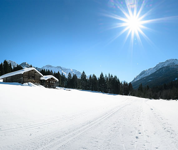 verschneite berge mit langlaufloipe - ein klarer, winternachmittag mit sonnenschein